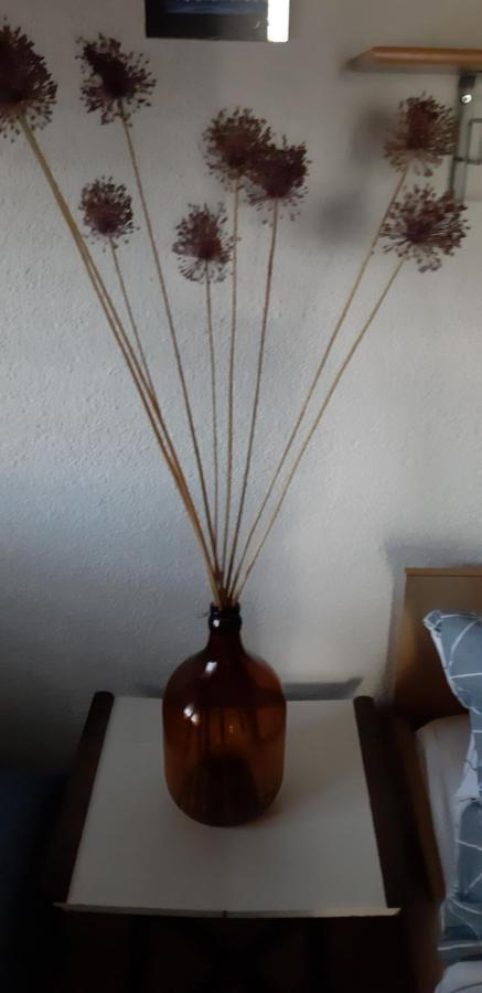Bamboo Apartman Portorož Exteriör bild
